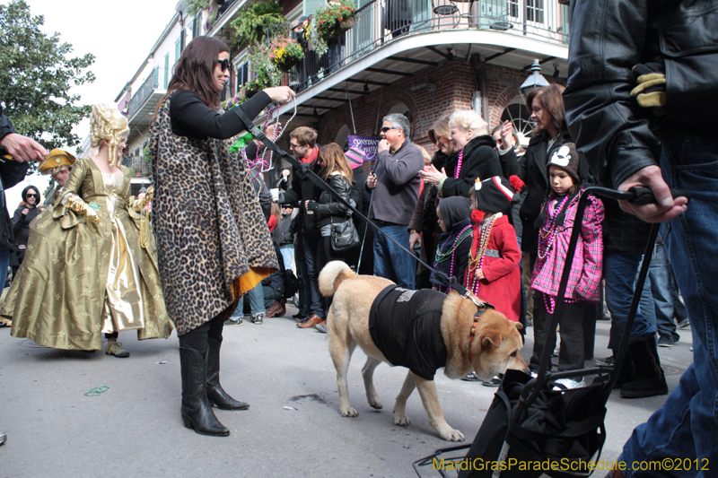 Mystic-Krewe-of-Barkus-2012-0222