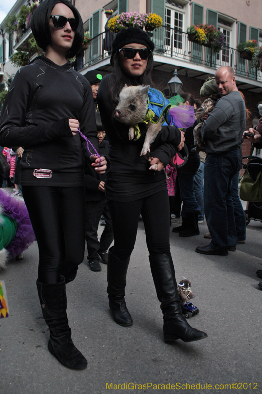 Mystic-Krewe-of-Barkus-2012-0225