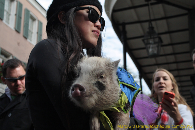 Mystic-Krewe-of-Barkus-2012-0226