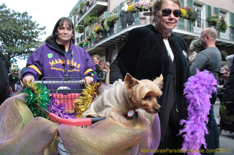 Mystic-Krewe-of-Barkus-2012-0228