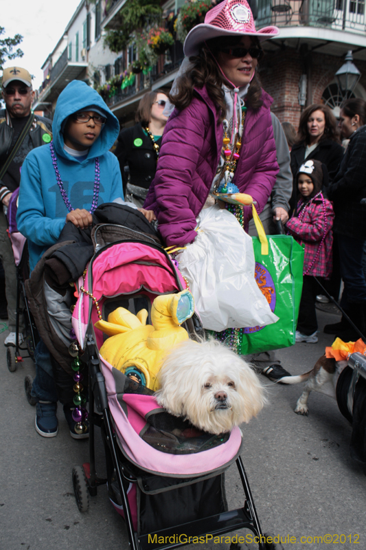 Mystic-Krewe-of-Barkus-2012-0229