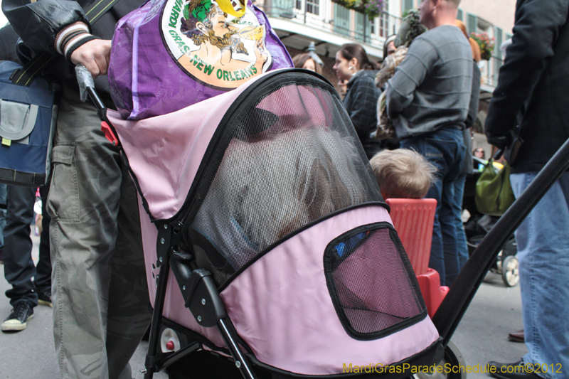 Mystic-Krewe-of-Barkus-2012-0230