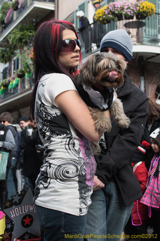 Mystic-Krewe-of-Barkus-2012-0232