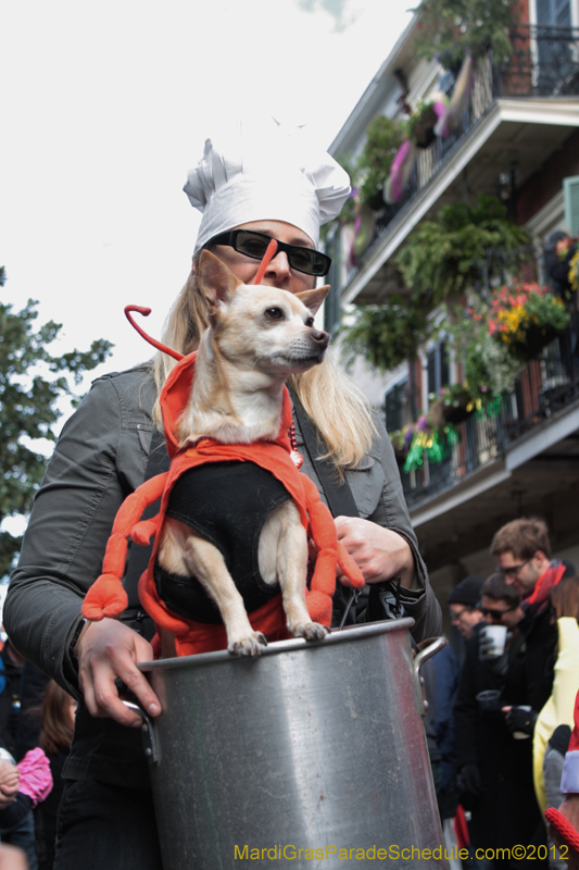 Mystic-Krewe-of-Barkus-2012-0234