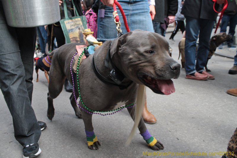 Mystic-Krewe-of-Barkus-2012-0235