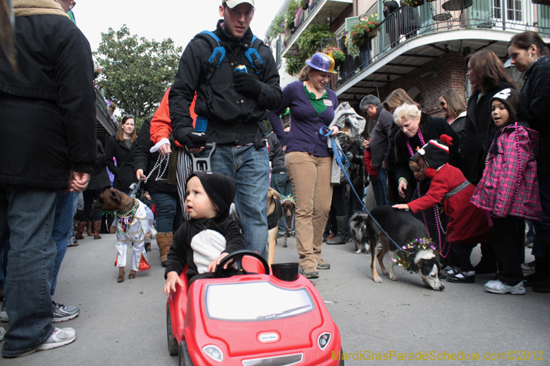 Mystic-Krewe-of-Barkus-2012-0237