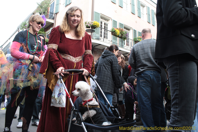 Mystic-Krewe-of-Barkus-2012-0249