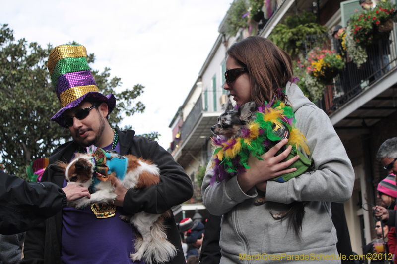 Mystic-Krewe-of-Barkus-2012-0253