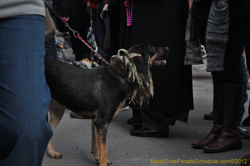 Mystic-Krewe-of-Barkus-2012-0254