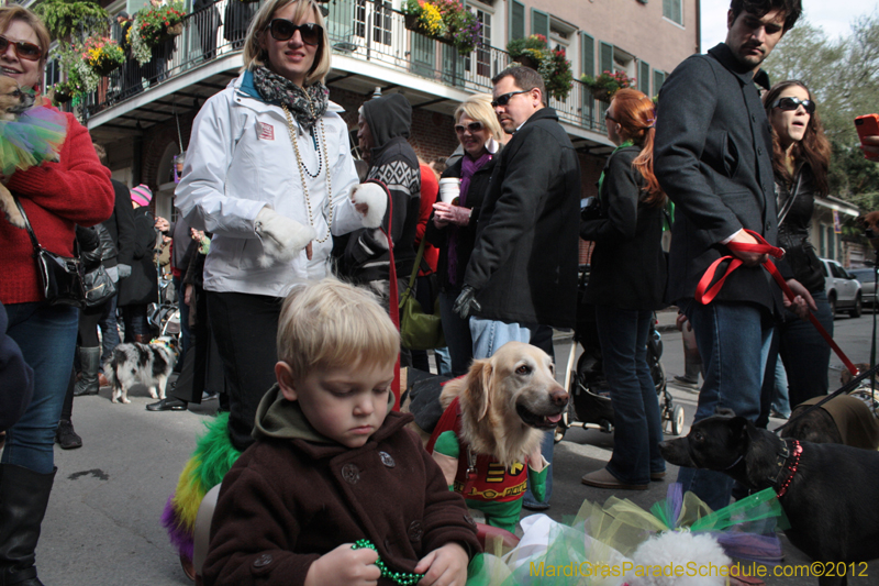 Mystic-Krewe-of-Barkus-2012-0257