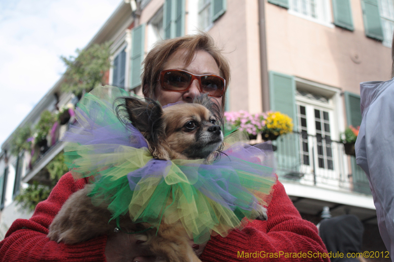 Mystic-Krewe-of-Barkus-2012-0258