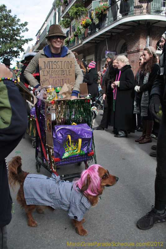 Mystic-Krewe-of-Barkus-2012-0260