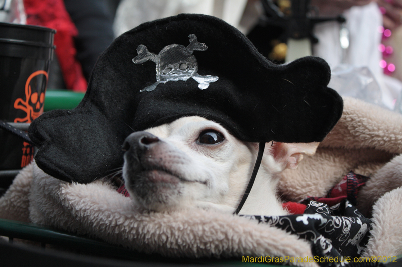 Mystic-Krewe-of-Barkus-2012-0262