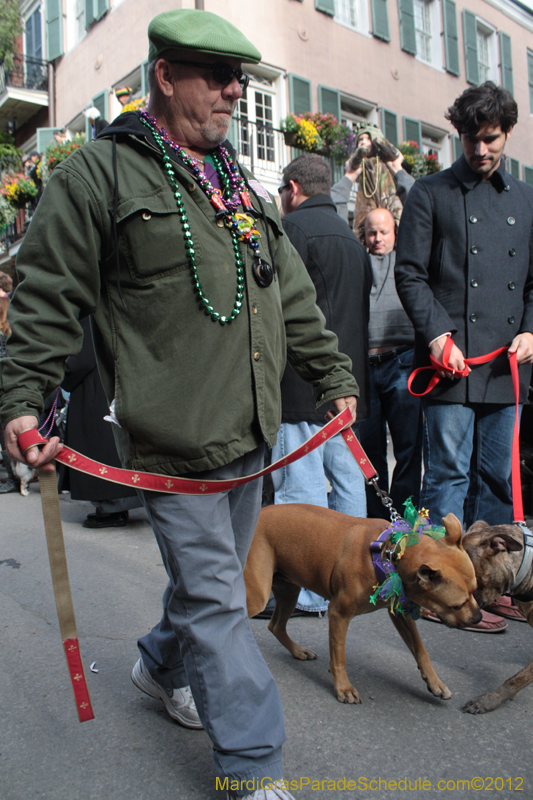 Mystic-Krewe-of-Barkus-2012-0265