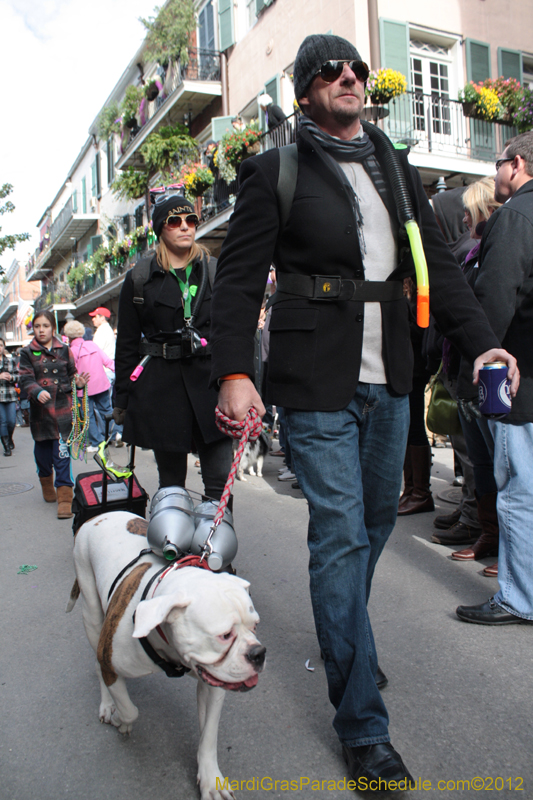 Mystic-Krewe-of-Barkus-2012-0266