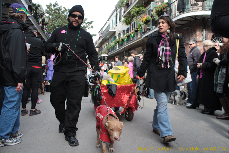 Mystic-Krewe-of-Barkus-2012-0267