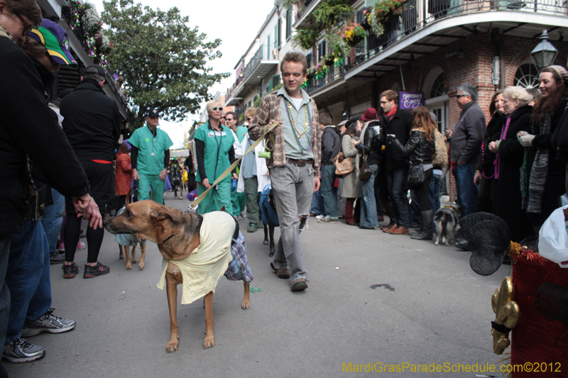 Mystic-Krewe-of-Barkus-2012-0268