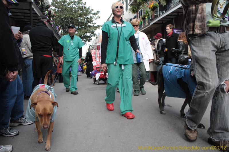 Mystic-Krewe-of-Barkus-2012-0269