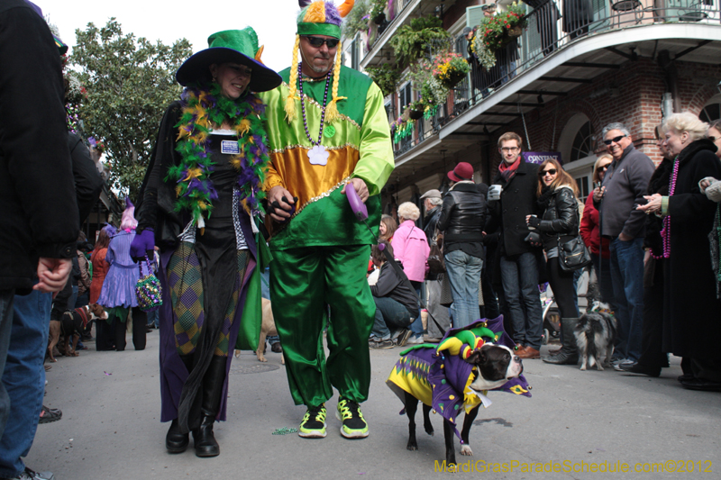 Mystic-Krewe-of-Barkus-2012-0272