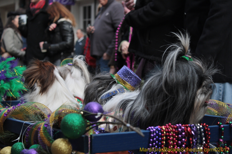 Mystic-Krewe-of-Barkus-2012-0278