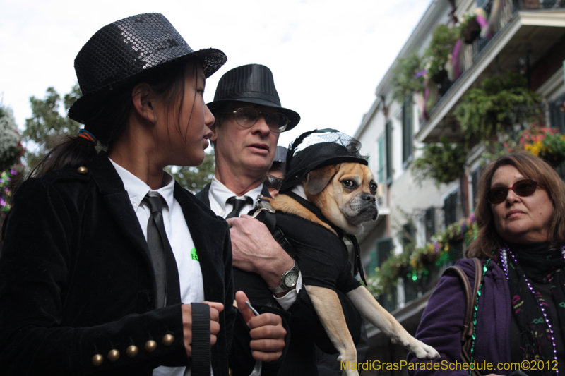 Mystic-Krewe-of-Barkus-2012-0279