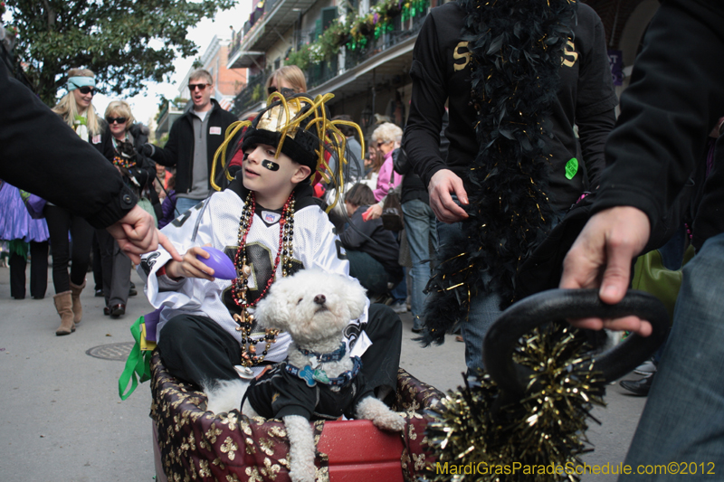 Mystic-Krewe-of-Barkus-2012-0280