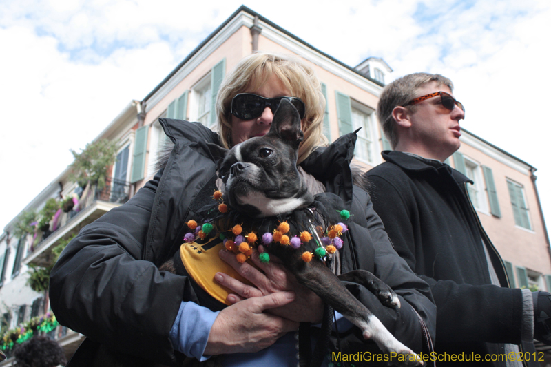 Mystic-Krewe-of-Barkus-2012-0282