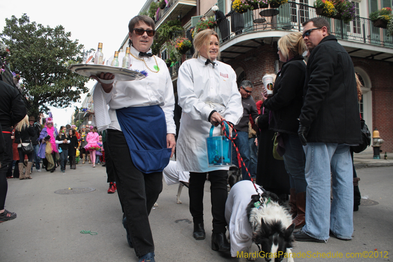 Mystic-Krewe-of-Barkus-2012-0290