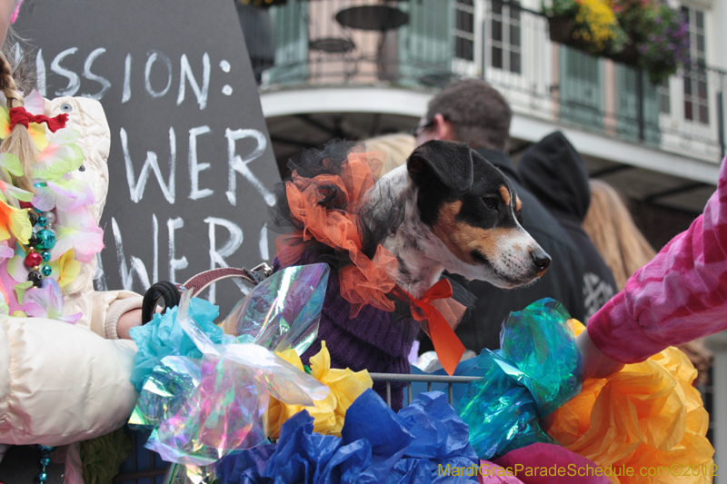 Mystic-Krewe-of-Barkus-2012-0292