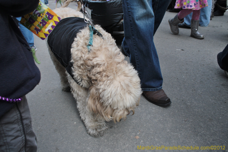 Mystic-Krewe-of-Barkus-2012-0293