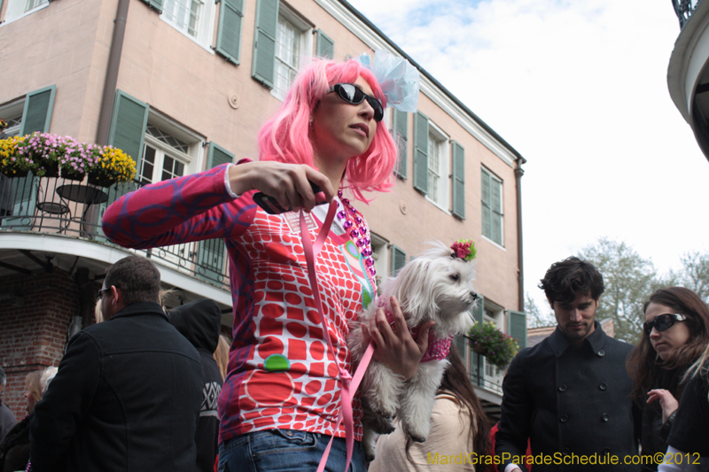 Mystic-Krewe-of-Barkus-2012-0294