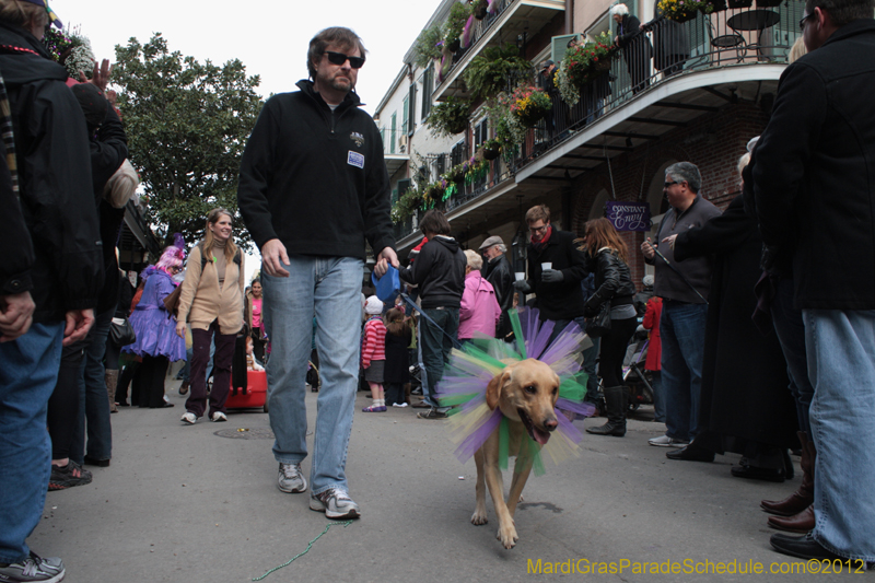 Mystic-Krewe-of-Barkus-2012-0295