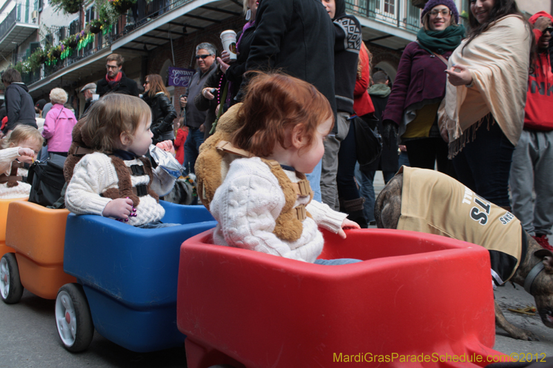 Mystic-Krewe-of-Barkus-2012-0296