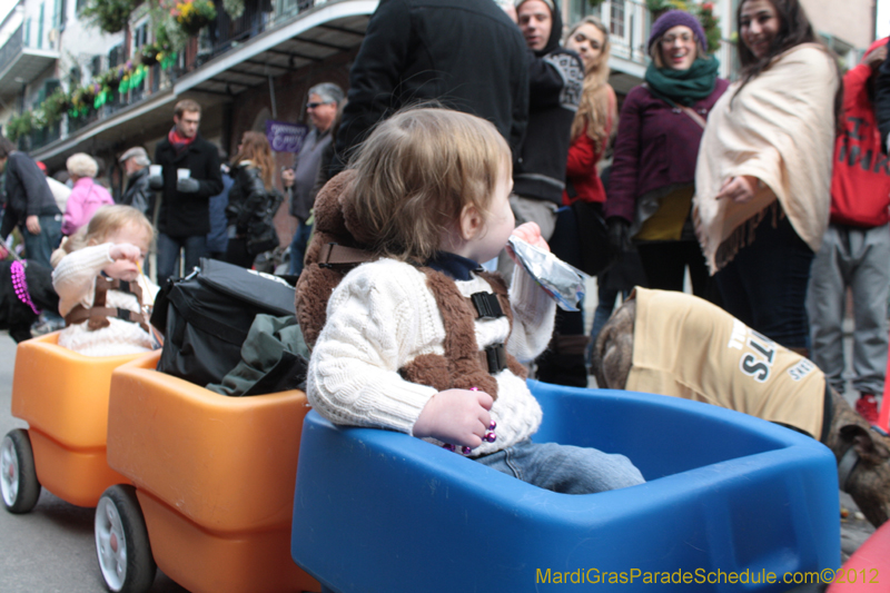 Mystic-Krewe-of-Barkus-2012-0297