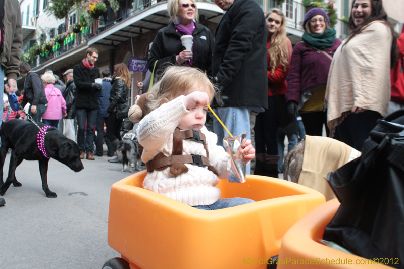 Mystic-Krewe-of-Barkus-2012-0298