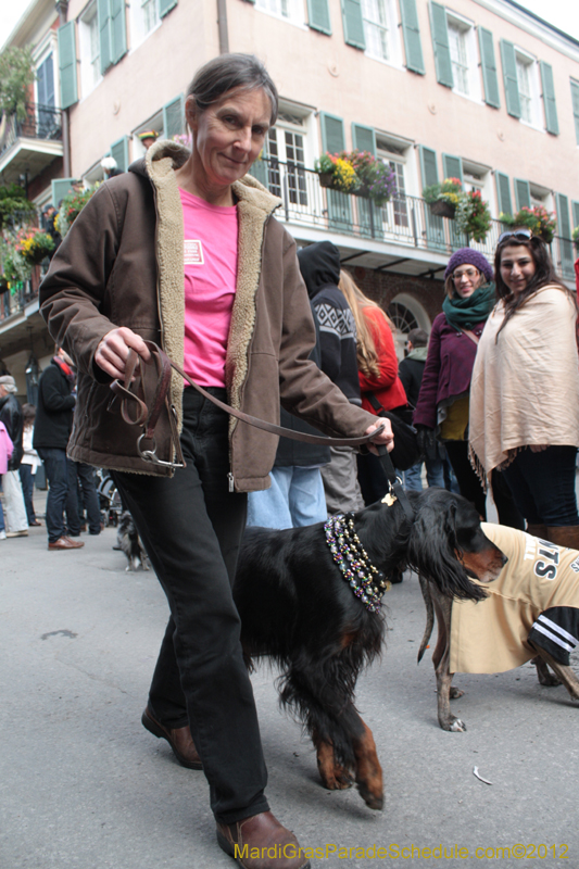 Mystic-Krewe-of-Barkus-2012-0300