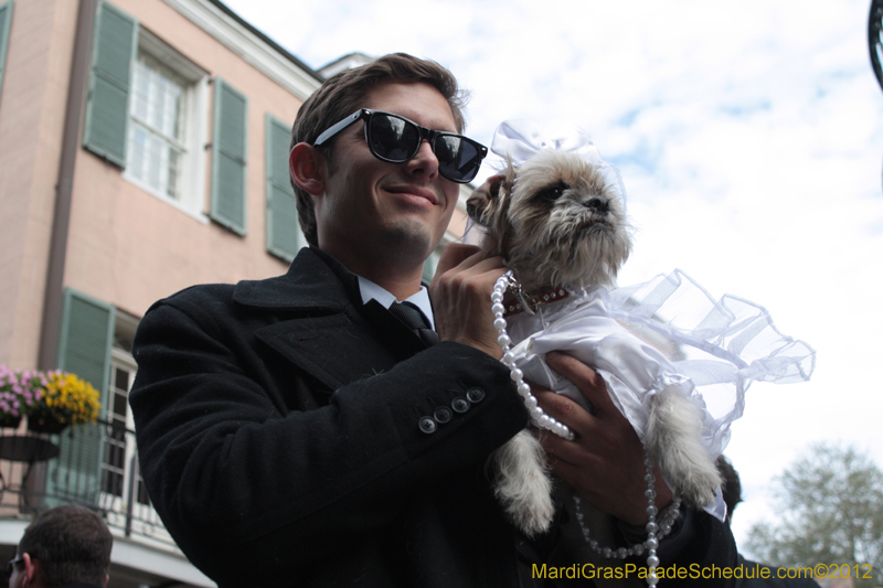 Mystic-Krewe-of-Barkus-2012-0306