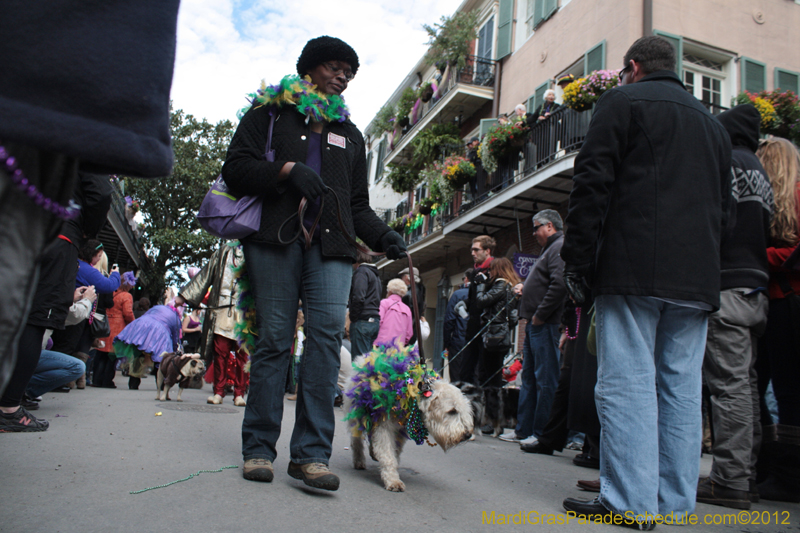 Mystic-Krewe-of-Barkus-2012-0307