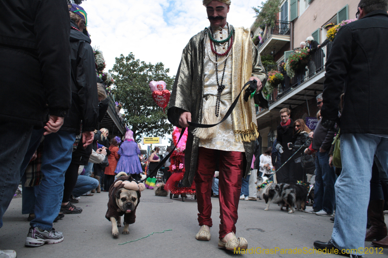 Mystic-Krewe-of-Barkus-2012-0308