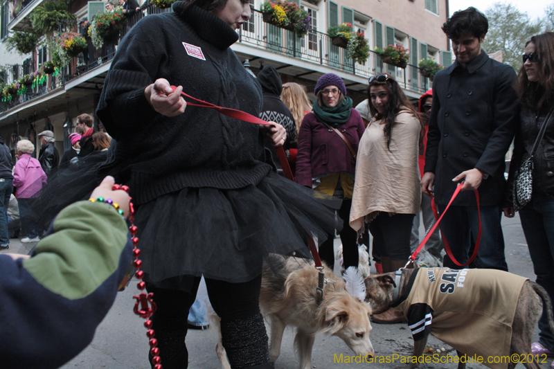 Mystic-Krewe-of-Barkus-2012-0313