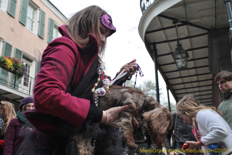 Mystic-Krewe-of-Barkus-2012-0315