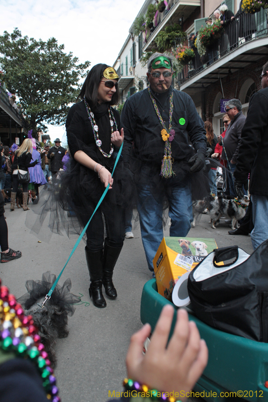 Mystic-Krewe-of-Barkus-2012-0316