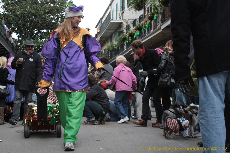 Mystic-Krewe-of-Barkus-2012-0317