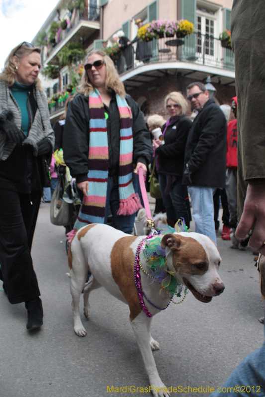 Mystic-Krewe-of-Barkus-2012-0319