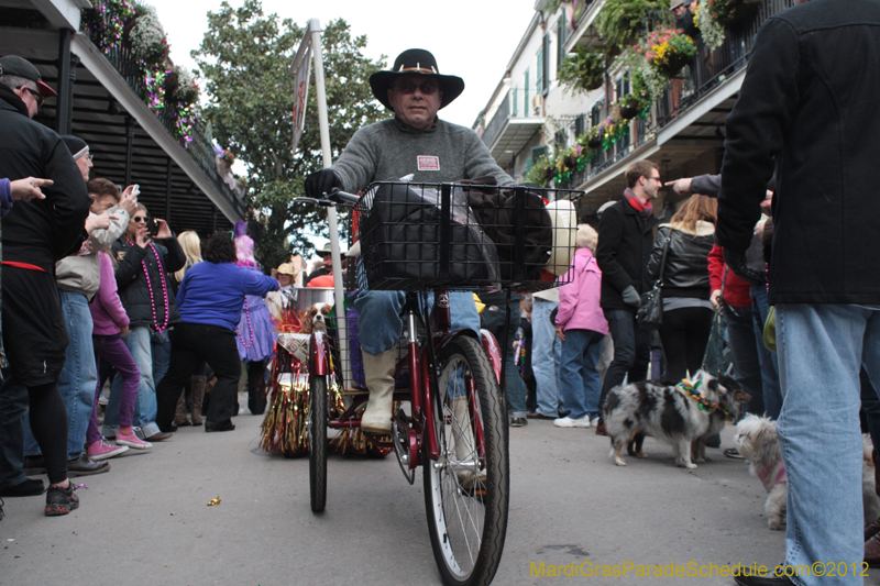 Mystic-Krewe-of-Barkus-2012-0327