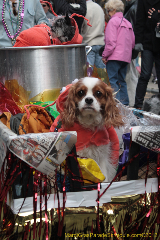 Mystic-Krewe-of-Barkus-2012-0328