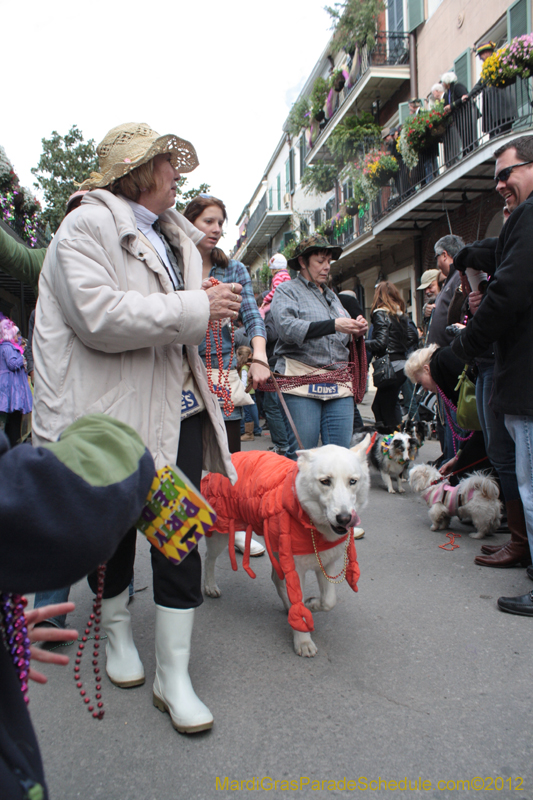 Mystic-Krewe-of-Barkus-2012-0330