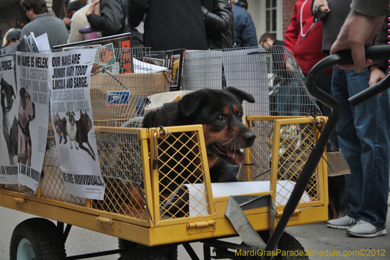 Mystic-Krewe-of-Barkus-2012-0334