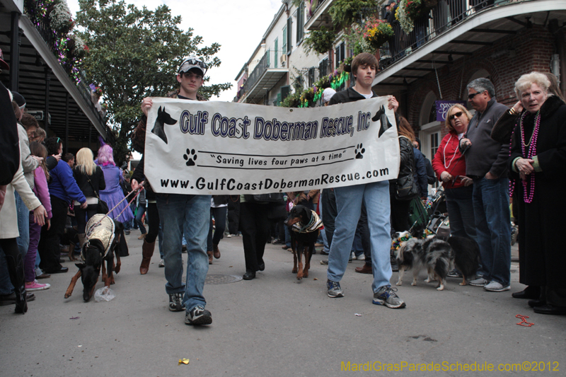 Mystic-Krewe-of-Barkus-2012-0335