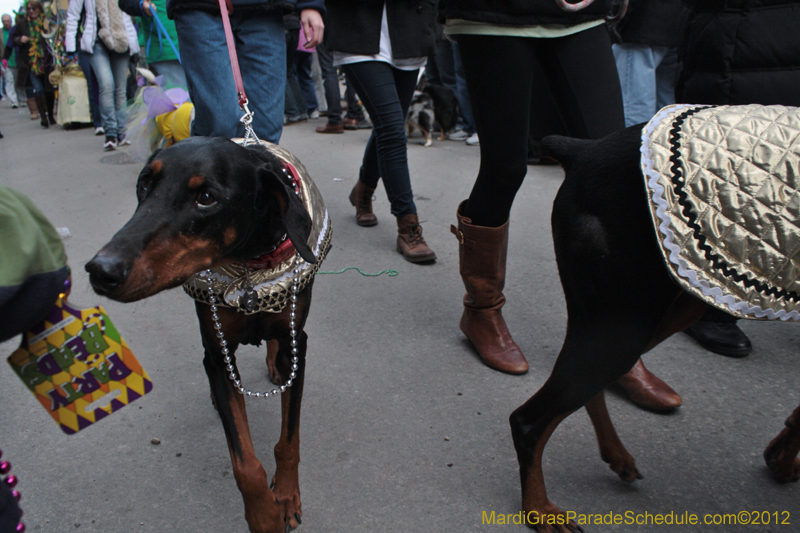 Mystic-Krewe-of-Barkus-2012-0336